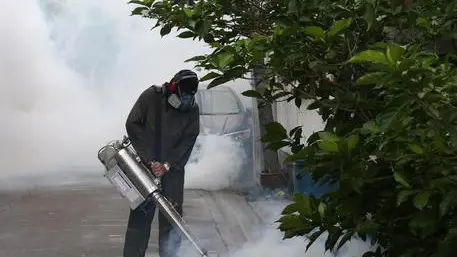 epa07653312 A Thai health officer sprays chemicals to kill mosquitos along the sewers in urban areas of Bangkok, Thailand, 17 June 2019. Thailand's Ministry of Public Health issued a notice about the epidemic of dengue fever in Thailand and ASEAN countries, mainly blamed on climate change increasing the number of mosquitoes in the region. According to the Bureau of Epidemiology of the Ministry of Public Health in Thailand, it was found that from the start of 2019 until 14 June, were reported more than 28,000 patients, almost high twice as of 2018, and more than 43 deaths from the dengue fever. EPA/NARONG SANGNAK