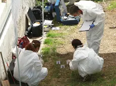 Le ricerche della Scientifica effettuate a Monfalcone nel cortile della villetta di via Carducci