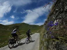 In bici sullo Zoncolan in una foto di archivio