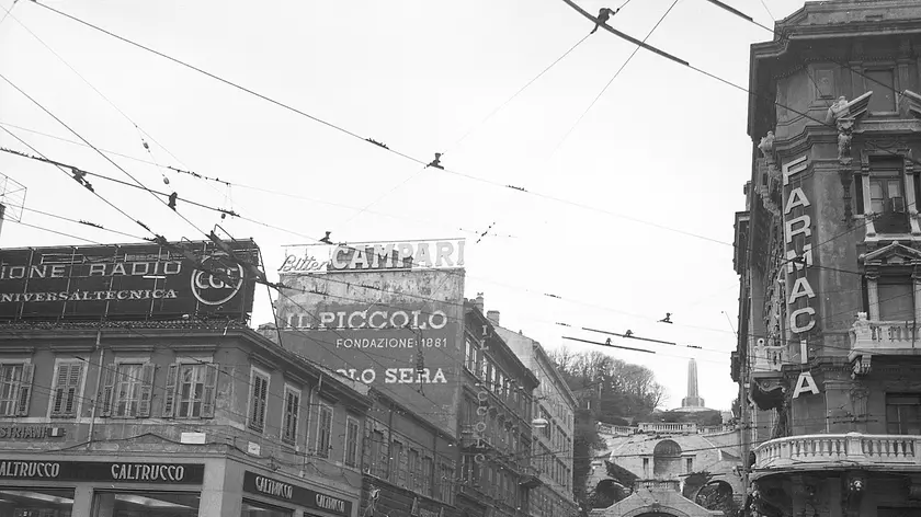 FOTOTECA DEI CIVICI MUSEI DI STORIA ED ARTE DI TRIESTE