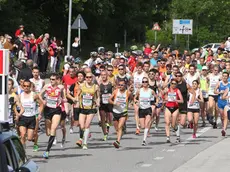 Lasorte Trieste 04/05/14 - Duino, Bavisela, Partenza Maratonina