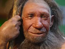 (GERMANY OUT) Germany, Mettmann: Reconstruction of a neanderthal man in the entrance hall of the Neanderthal museum (Photo by Markus Matzel/ullstein bild via Getty Images)