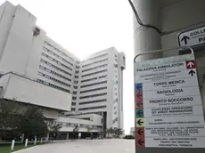 Lasorte Trieste 17/10/12 - Ospedale di Cattinara