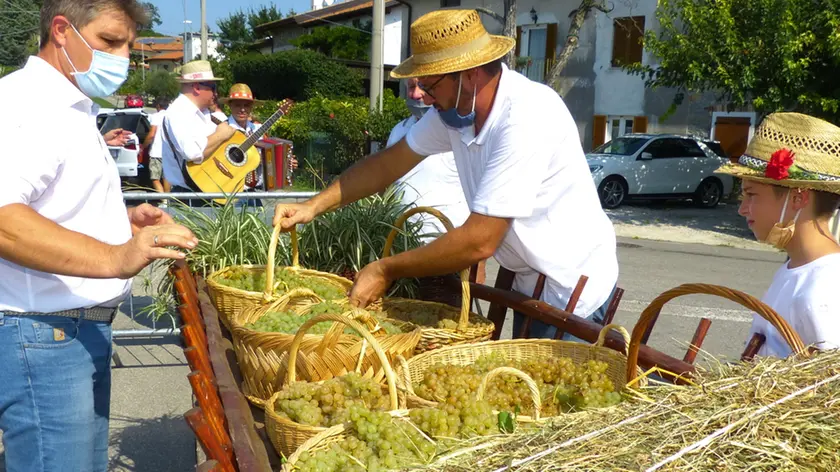 Bumbaca Gorizia 13_09_2020 San Floriano festa della vendemmia © Foto Pierluigi Bumbaca
