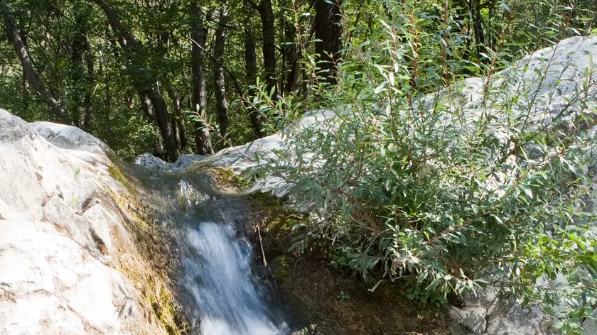 Una cascata in Val Rosandra