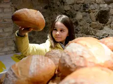 Una bambina con una pagnotta in una foto d’archivio