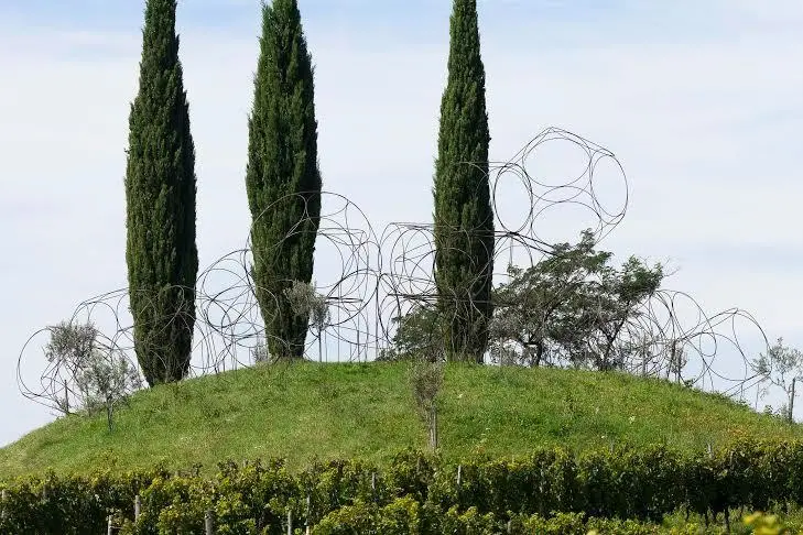 Un'immagine del Vigne Museum realizzato per i cent'anni di Livio Felluga