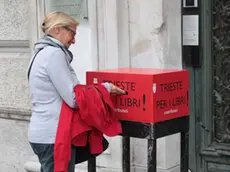 Lasorte Trieste 09/10/13 - Piazza Unità, Municipio, Cassetta Contributi per Libri La Fenice, Cittadina