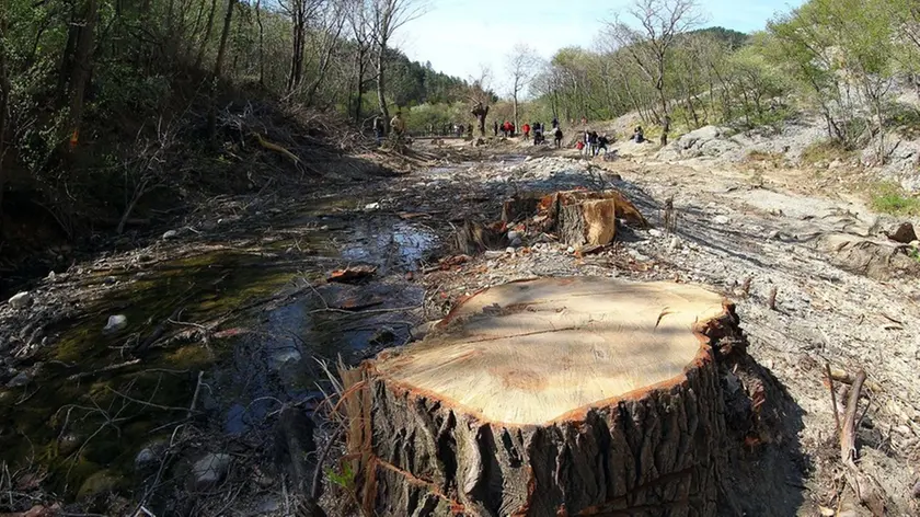 La val Rosandra devastata