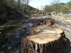 La val Rosandra devastata