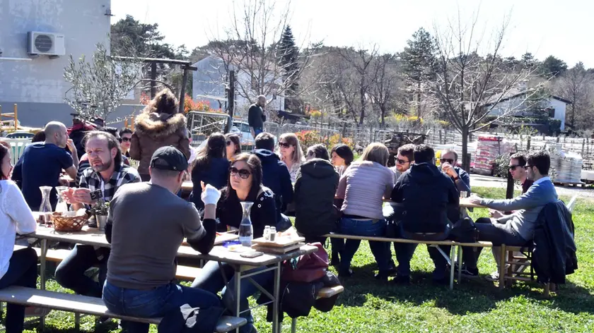 Foto BRUNI 30.03.2019 Agriturismo-Osmiza: Pipan