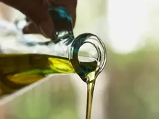 I produttori di olio di oliva in Istria puntano a esportarlo in Cina