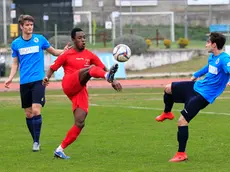 Bolognini Montebelluna calcio Montebelluna contro Triestina