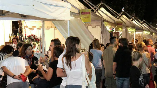 Bonaventura Monfalcone-14.06.2014 Festa del vino-Monfalcone-foto di Katia Bonaventura