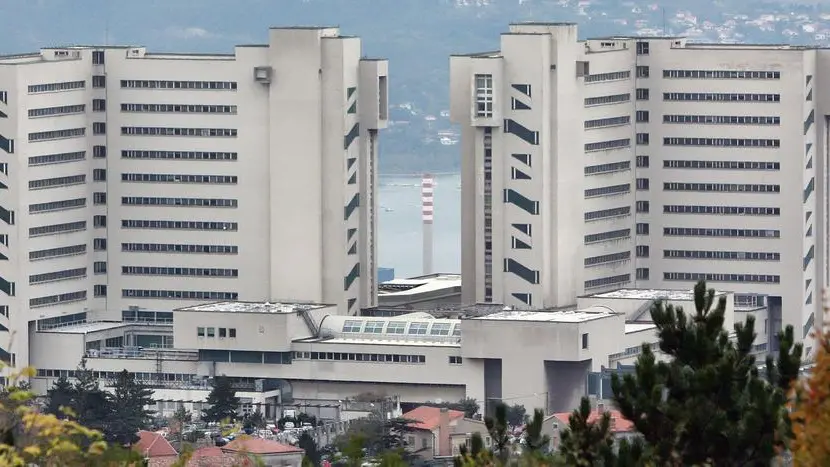 Le due torri dell'ospedale di Cattinara