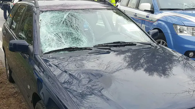 Lasorte Trieste 02/12/16 - Via Marchesetti, Ferdinandeo, Incidente, Investmento mortale