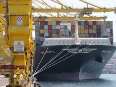 Lasorte Trieste 26/05/18 -Porto, Open Day, Molo VII