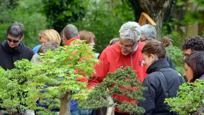 Foto BRUNI TRieste 14.04.12 Parco di S.Giovanni:Horti Tergestini