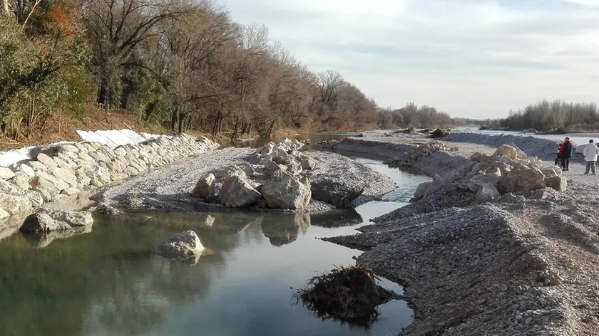 Bonaventura Monfalcone-05.03.2017 Lavori agli argini dell'Isonzo-Turriaco-foto di Katia Bonaventura