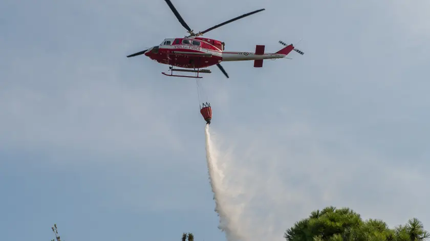 Lignano 13 Agosto 2015. Incendio pineta Getour. Foto Petrussi