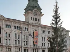 Lasorte Trieste 25/11/11 - Piazza Unità, Albero di Natale