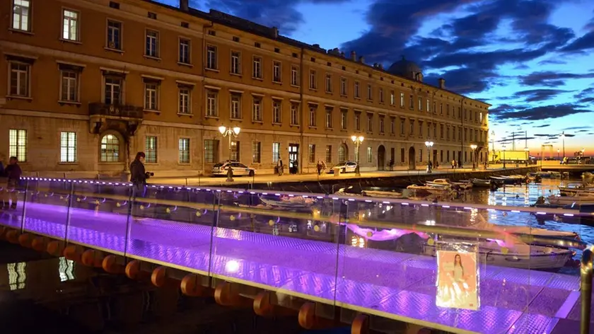 Foto Bruni Trieste 05.09.16 Ponte Joice-illuminato rosa-fuxia