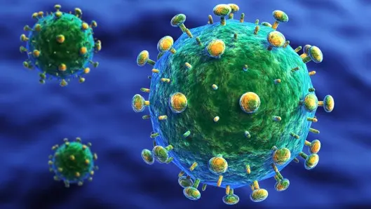 Il virus Hiv