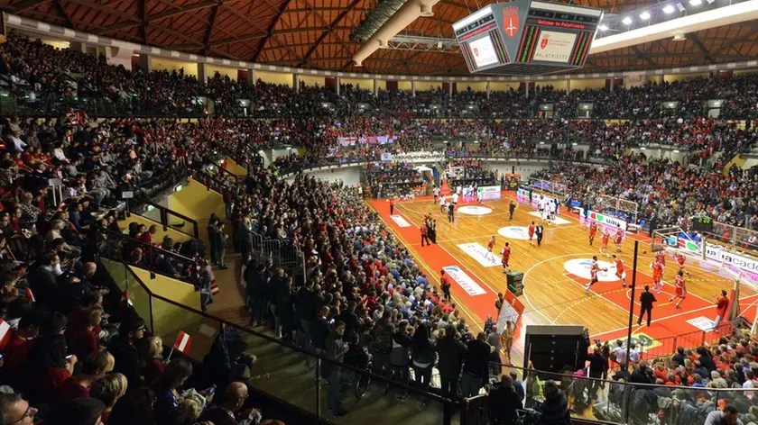 Foto BRUNI 04.12.16 Basket Alma Trieste- Udine:Deby il giorno dopo
