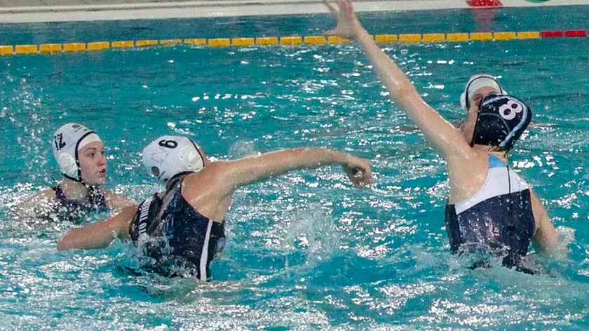 Silvano Trieste 22/01/2017 Pallanuoto, le Orchette