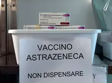 Dosi astrazeneca nella farmacia di cattinara (foto massimo silvano)