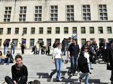 BRUNI TRIESTE 13 03 08 PORTE APERTE ALL'UNIVERSITA'