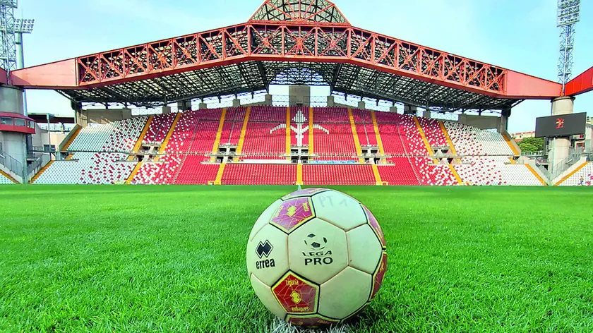 Un’immagine del campo dello stadio Nereo Rocco, oggetto assieme al Grezar della gara d’appalto per la manutenzione dell’erba Foto Lasorte