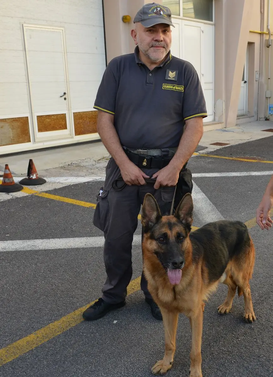 Il cane antidroga Acab