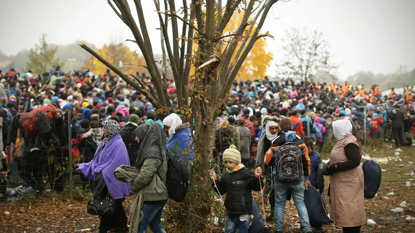 Begunci na tako imenovanem nikogaršnjem ozemlju med Slovenijo in Avstrijo, čakajo na sprejem avstrijske strani.Šentilj/Špilje, Slovenija 29.oktobra 2015. [državne meje,mejni prehodi,begunci,moški,ženske,otroci,emigranti,Šentilj,Slovenija,Avstrija]