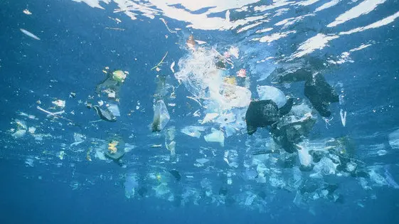 Plastic garbage is swimming on rhe water surface --- Image by © Gary Bell/Corbis