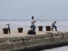 Lasorte Trieste 05/05/20 - Molo Audace, Pescatore