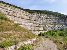 FOTO BRUNI TRIESTE 25 09 09 CAVA FACCANONI-IL SINDACO ILLUSTRA IL PROGETTO DEL PARCO VERDE