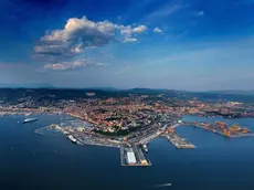 sterle trieste trieste dall'alto alla c a dott alessandro mezzena pregasi gentilmente di conservare queste foto