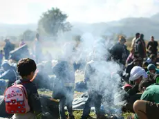 Begunci kurijo ogenj da se ogrejejo in spečejo koruzo. Rigonce, Slovenija 20.oktobra 2015. [begunci,moški,emigranti,polja,ceste,poti,Slovenija,Rigonce]