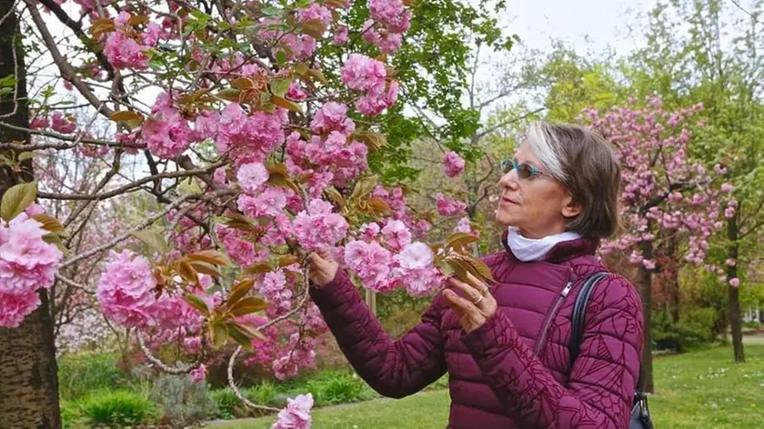 Liliana Resinovich in mezzo ai fiori in una foto scattata dal marito Sebastiano Visintin. PaoloManzi.com