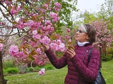 Liliana Resinovich in mezzo ai fiori in una foto scattata dal marito Sebastiano Visintin. PaoloManzi.com