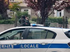 Alcuni degli interventi delle forze di polizia sull’area di piazza del Perugino Foto Lasorte e Silvano