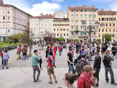 Lasorte Trieste 01/05/20 - Campo S.Giacomo, Manifestazione 1 Maggio, Emergenza Coronavirus