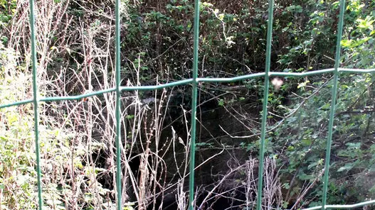 Bonaventura Monfalcone-Zona di uscita della fogna a cielo aperto del parco Europa-Via Sarcinelli-Cervignano -foto di Katia Bonaventura
