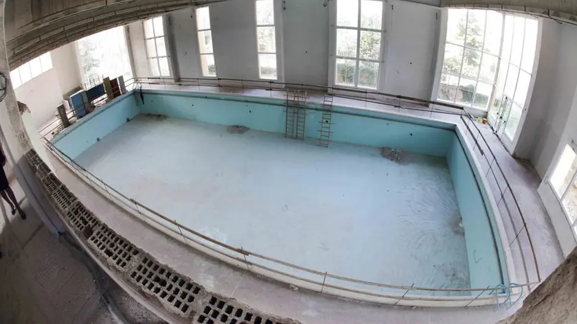 sterle trieste piscina da vinci