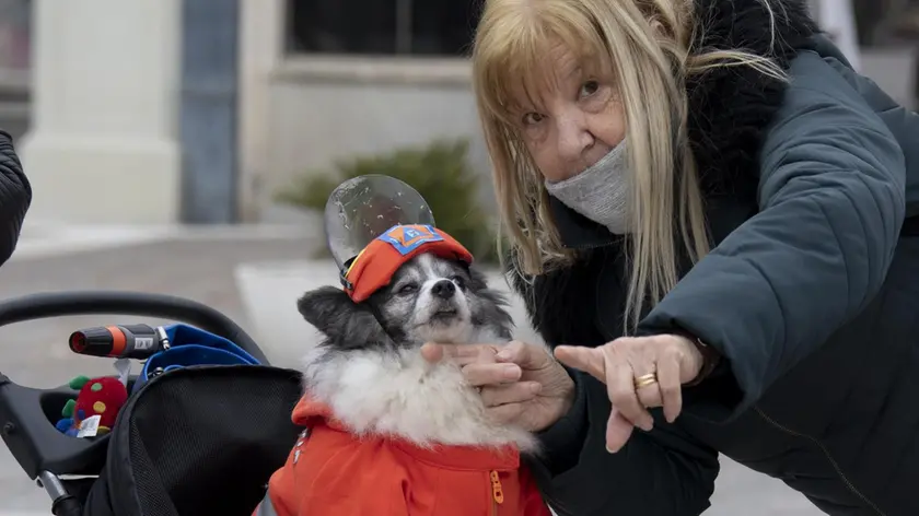 Uno dei protagonisti del Can-nevale a Monfalcone (fotoservizio di Katia Bonaventura)