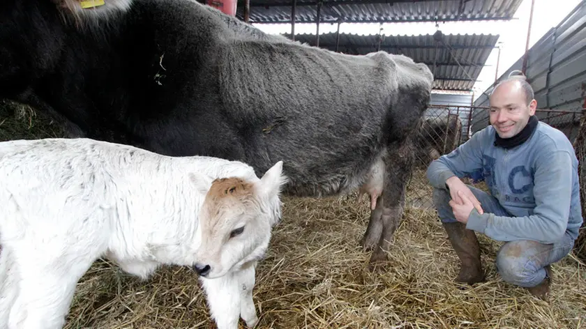 Bonaventura Monfalcone-11.02.2017 Progetto Carso-Ronchi dei Legionari e Doberdò del Lago-foto di Katia Bonaventura