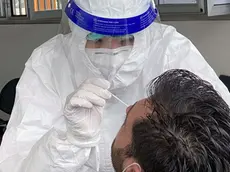 Un uomo sottoposto a tampone per l’infezione da covid 19: il naso è una delle vie di accesso preferenziali del virus per entrare nel nostro organismo
