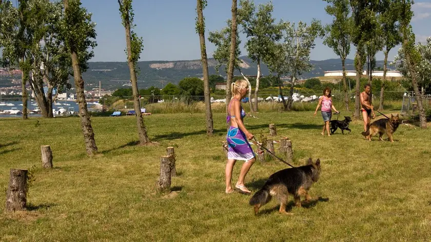 Silvano Trieste 09/06/2014 Fido Lido