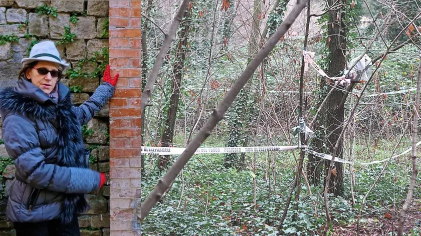 A sinistra Liliana Resinovich. A destra l'area del boschetto adiacente al parco dell’ex ospedale psichiatrico dove è stato trovato il suo corpo senza vita. Foto Lasorte